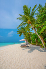 Obraz premium Tranquil closeup calm sea water waves with palm trees. Beautiful Panorama, Tropical island beach landscape exotic shore coast. Summer vacation, holiday amazing nature. Relax paradise, Maldives.