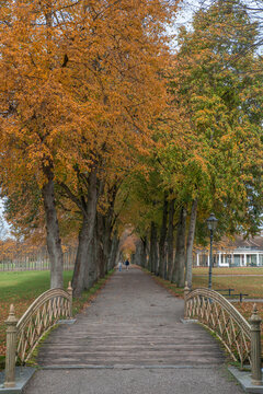 Fall colors in Schwerin Castle, Germany