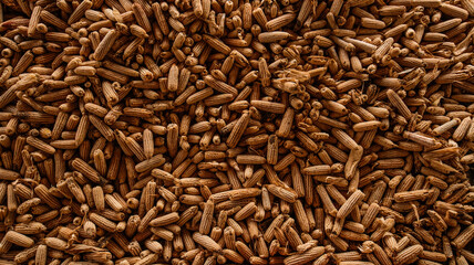 close up of cumin seeds