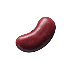 Kidney bean red bean legume glossy isolated closeup food organic transparent background with calm mood