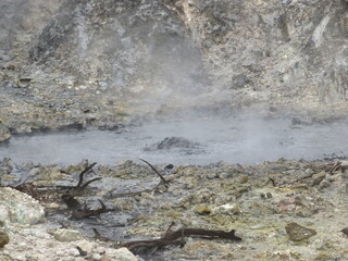 Hot Sulfur Springs