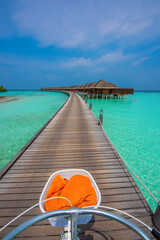 Tranquil closeup calm sea water waves with palm trees. Beautiful Deck View. Tropical island beach landscape exotic shore coast. Summer vacation, holiday amazing nature. Relax paradise, Maldives.