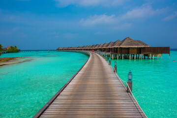 Tranquil closeup calm sea water waves with palm trees. Beautiful Deck View. Tropical island beach landscape exotic shore coast. Summer vacation, holiday amazing nature. Relax paradise, Maldives.