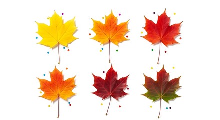 Six colorful maple leaves in various shades of yellow, orange, and red, isolated on a white background