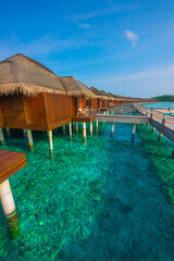Tranquil closeup calm sea water waves with palm trees. Beautiful Cabins. Tropical island beach landscape exotic shore coast. Summer vacation, holiday amazing nature. Relax paradise, Maldives.