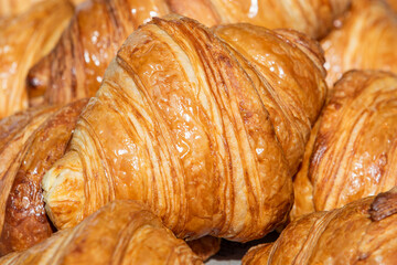 Golden Butter Croissant Close-Up – Freshly Baked French Pastry