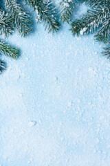 Christmas or winter background with snowy fir branches and frost texture on blue surface, holiday...