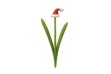 Plant wearing santa hat on transparent background celebrating christmas and winter holidays