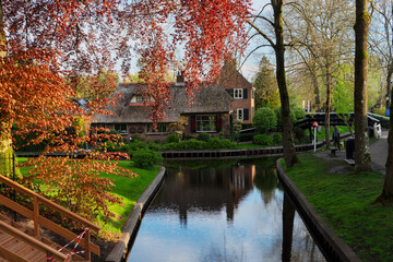 Obraz premium rural dutch traditional country small old town Giethoorn with canals, Netherlands