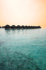 Tranquil closeup calm sea water waves with palm trees. Sunset Reflection. Tropical island beach landscape exotic shore coast. Summer vacation, holiday amazing nature. Relax paradise, Maldives.