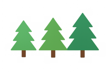 Three evergreen pine trees in varying shades of green, standing together, with a transparent background