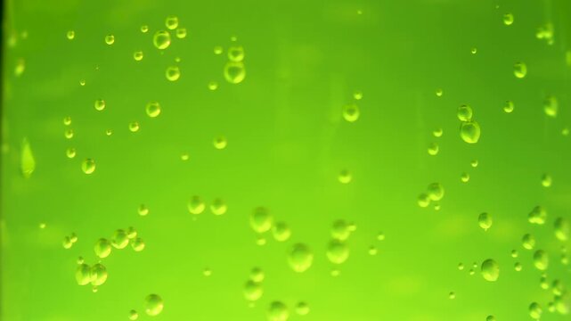 A refreshing green fizzy drink in a glass with bubbles on a dark background for advertising and design
