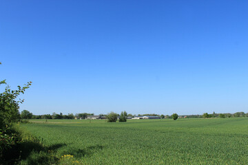 Fototapeta premium Feld, Landschaft, Horizont, Himmel