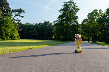 Scooter child. Girl riding scooter toddler. Yellow outdoor activity park road.