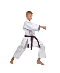 Martial artist in white kimono