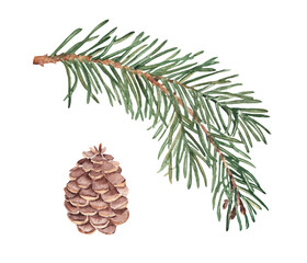 Fir Branch and Pine cone set. Watercolor Hand painted illustration of Winter forest plant with green needles on white background. Pine or Spruce Twig For Christmas design, festive decor, packaging