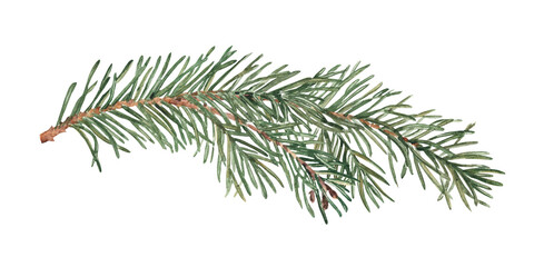 Watercolor Fir Branch. Realistic Hand painted illustration of Winter forest plant with green needles on white background. Pine or Spruce Twig For Christmas and New Year design, prints or decorations.