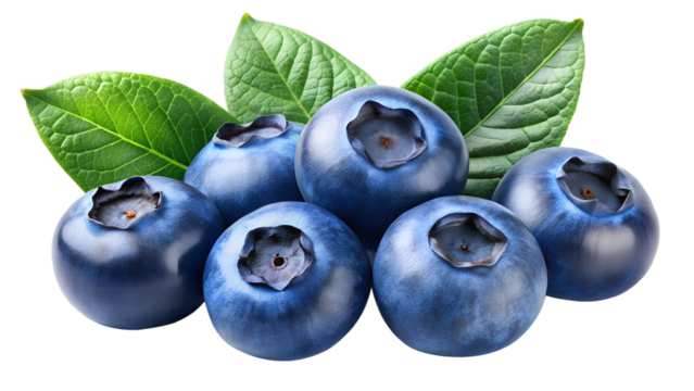 blueberries isolated on transparent white background full depth of field clipping path