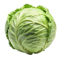 Obraz premium cabbages isolated on transparent white background full depth of field clipping path