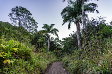 Obraz premium Moanalua Valley Trail , Honolulu, Oahu, Hawaii. Moanalua Stream. Older alluvium. Sand and gravel 
