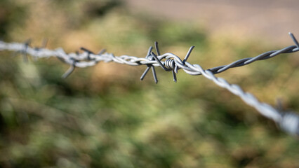 Close-up view of barbed wire fence with sharp points, contrasting against blurred green foliage in the background, symbolizing security and boundaries in nature