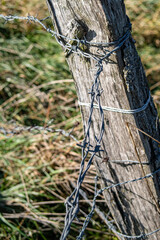 Weathered wooden fence post wrapped in barbed wire, surrounded by lush green grass and natural landscape, showcasing rustic charm and agricultural elements