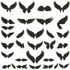 set of black wings