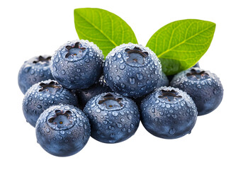 Fresh blueberries with water droplets isolated on transparent background