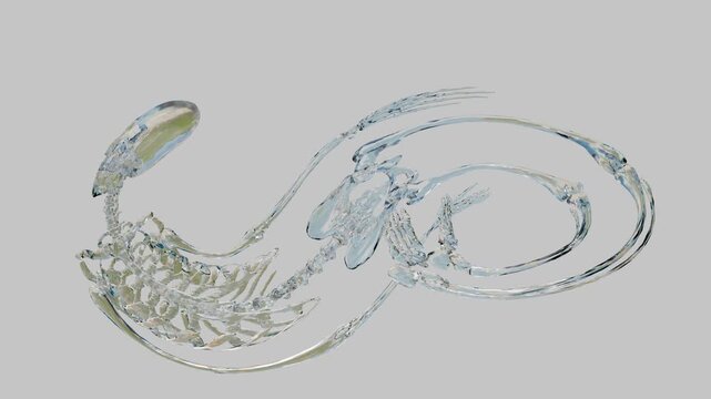 A human skeleton made of glass or crystal bends in the shape of an infinity sign, soft and plastic like jelly. Visual absurdity, surrealism and a combination of incongruous contrasts, 3D visualization