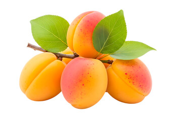 Fresh apricots with leaves isolated on transparent background, a summer fruit