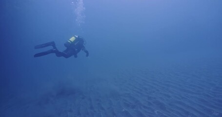 Scuba diver reverses course over seabed.