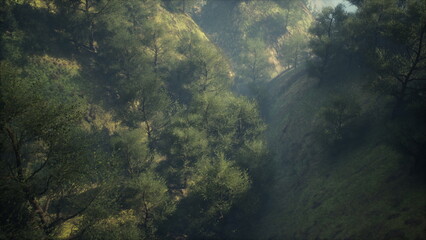 In a serene valley surrounded by lush green hills, gentle rays of morning sunlight filter through vibrant trees, creating a tranquil atmosphere filled with soft mist and quiet beauty.