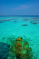 Fototapeta premium Tranquil closeup calm sea water waves with palm trees. Beautiful Panorama, Tropical island beach landscape exotic shore coast. Summer vacation, holiday amazing nature. Relax paradise, Maldives.