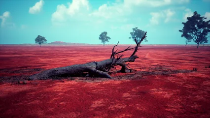 Fotobehang Bordeaux An expansive red landscape features a weathered fallen tree. Sparse greenery and a striking blue sky with white clouds set a serene atmosphere. Natures colors shine in this stunning scene.  © icetray