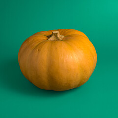 pumpkin on a green background