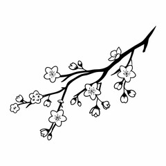 Pen Drawing of a Cherry Blossom Branch &ndash; Hand-Drawn Sakura Illustration, Floral Line Art, Botanical Sketch, Minimalist Ink Artwork on White Background&rdquo;