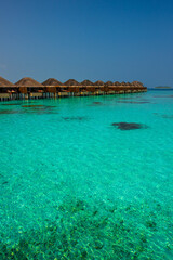 Tranquil closeup calm sea water waves with palm trees. Bungalows background. Tropical island beach landscape exotic shore coast. Summer vacation, holiday amazing nature. Relax paradise, Maldives.