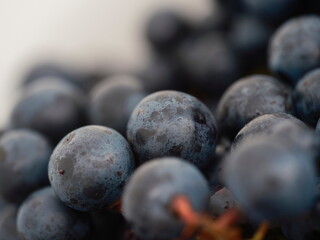 Close-up of wine grapes showing prominent natural bloom and surface texture