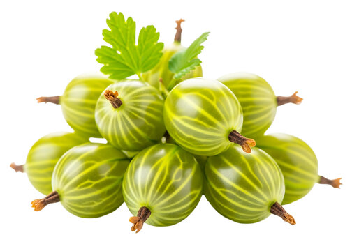 Pile of fresh green gooseberries isolated on transparent background, close up view