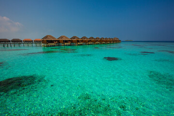 Tranquil closeup calm sea water waves with palm trees. Bungalows background. Tropical island beach landscape exotic shore coast. Summer vacation, holiday amazing nature. Relax paradise, Maldives.