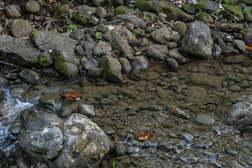 Moanalua Valley Trail , Honolulu, Oahu, Hawaii. Moanalua Stream. Older alluvium. Sand and gravel
