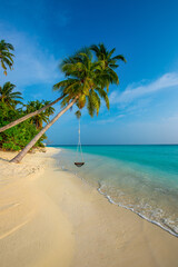 Tranquil closeup calm sea water waves with palm trees. Swing on the tree. Tropical island beach landscape exotic shore coast. Summer vacation, holiday amazing nature. Relax paradise, Maldives.