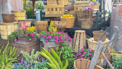Baskets, plants and produce at a farmer's market
