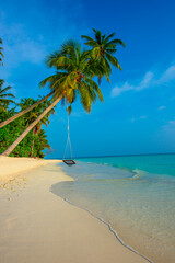 Tranquil closeup calm sea water waves with palm trees. Swing on the tree. Tropical island beach landscape exotic shore coast. Summer vacation, holiday amazing nature. Relax paradise, Maldives.