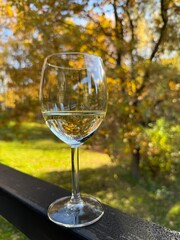 glass of wine