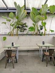 Minimalist caf&eacute; interior with concrete walls, green plants, and metal chairs creating a cozy and modern atmosphere