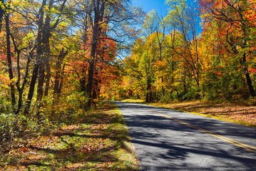 Obraz premium Fall foliage drive on Blue Ridge Parkway with golden trees and shadows