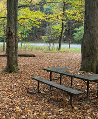 picnic table and bench in the wooded campsite covered in fall foliage that is dried and fallen on the ground creating a colorful carpet of autumn season in a picturesque travel destination