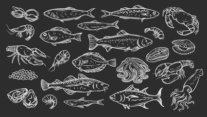 Seafood outline drawings in chalk style set. Marine animals and fish, hand drawn with white lines on dark background. Great for menu, food design, seafood packaging and fish market visuals. Vector © Victoria Sergeeva