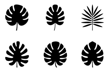 silhouette of  tropical leaves illustration in black color